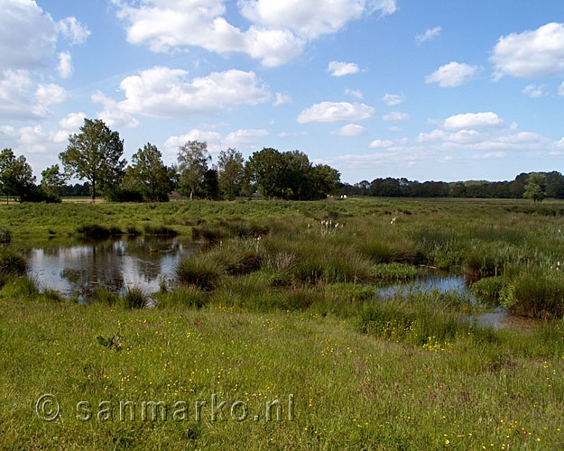 Vennen, bossen en velden in Kampina