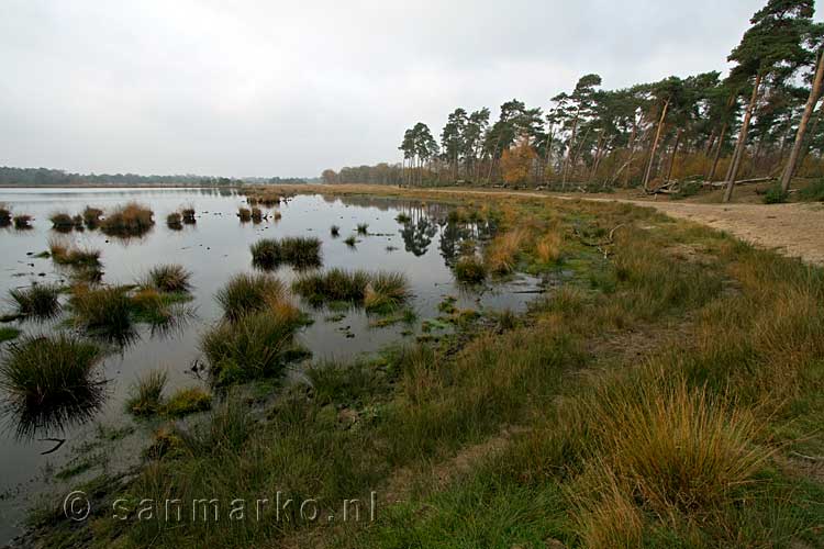 Het kogelvangersven in Kampina bij Boxtel