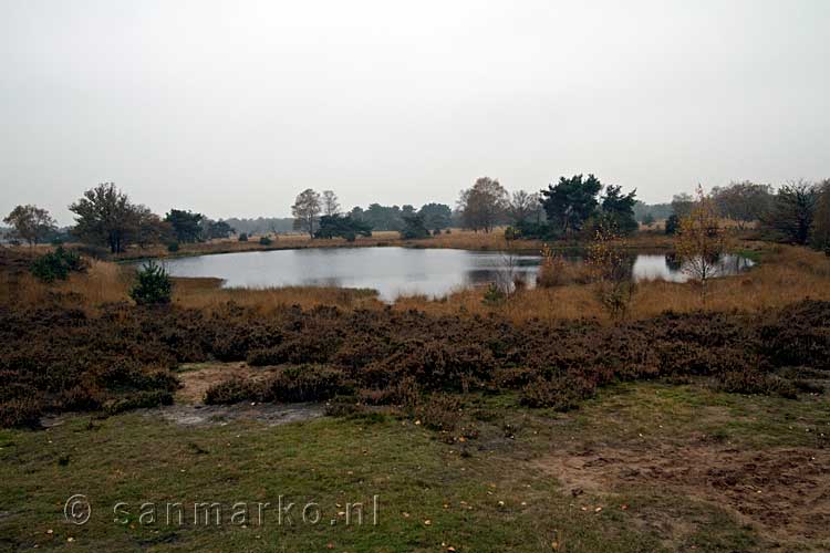 Een mooi uitzicht over het Belversven in Kampina