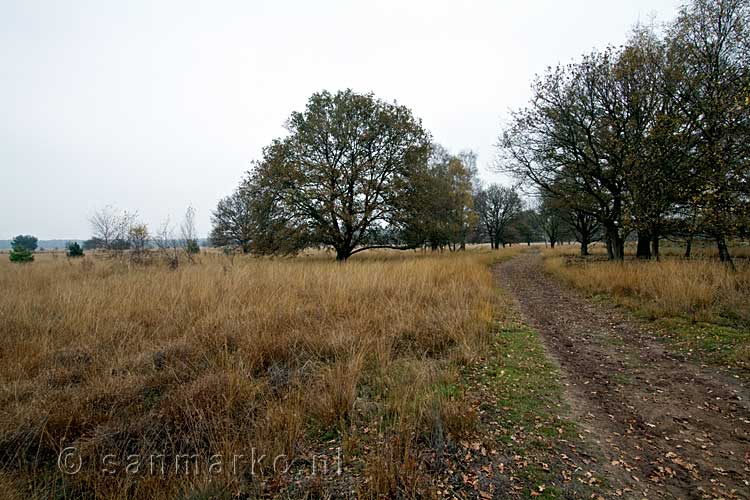 Ons uitzicht tijdens onze wandeling door het open veld van Kampina