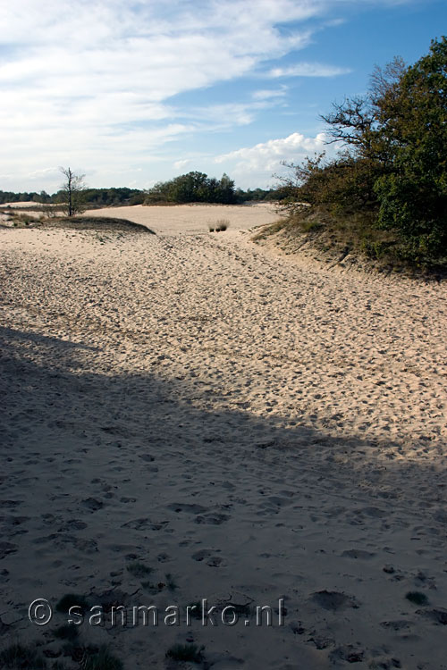 Wandelen door de Loonse en Drunense Duinen