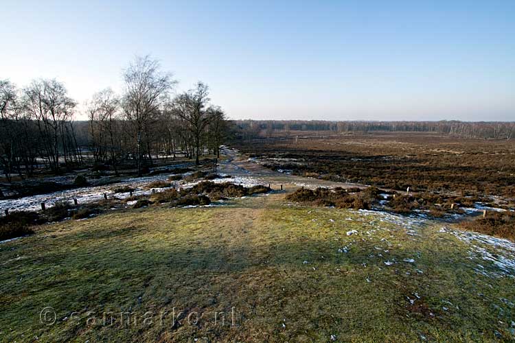 Nationaal Park Maasduinen gezien vanaf een grafheuvel