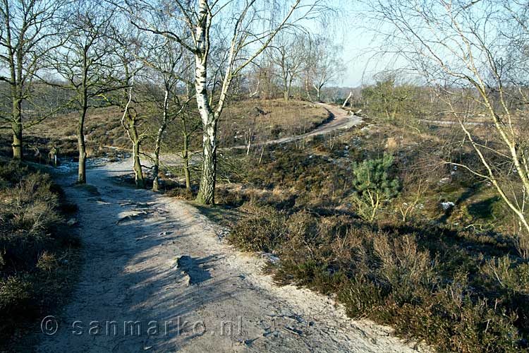 Het wandelpad door de Maasduinen bij Landgoed Hamert