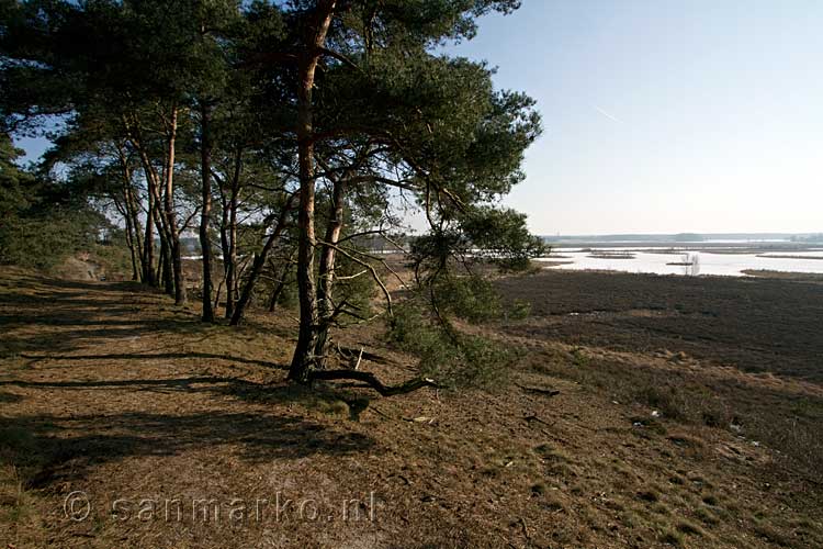 Het uitzicht over het Westmeerven vanaf de Dikkenberg in NP Maasduinen