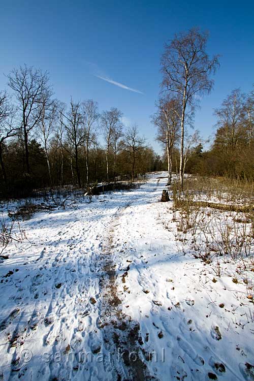 Sneeuw op het wandelpad tijdens onze wandeling door de Maasduinen