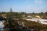 Het uitzicht over de zandverstuivingen in Nationaal Park Maasduinen