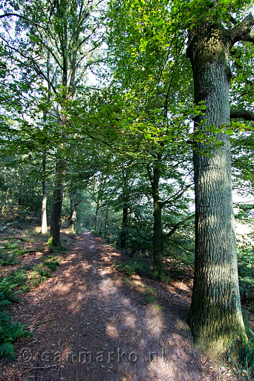 Het wandelpad richting de Duitse Grens en Hoch Elten