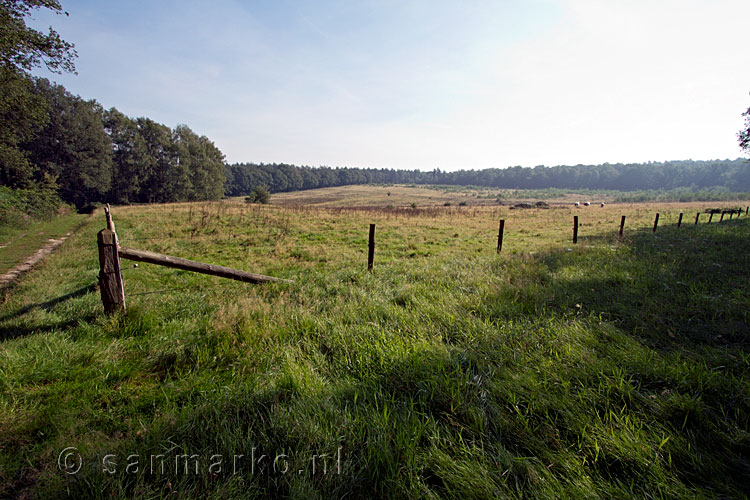 Een mooi uitzicht op een open plek tijdens een wandeling in het Bergherbos