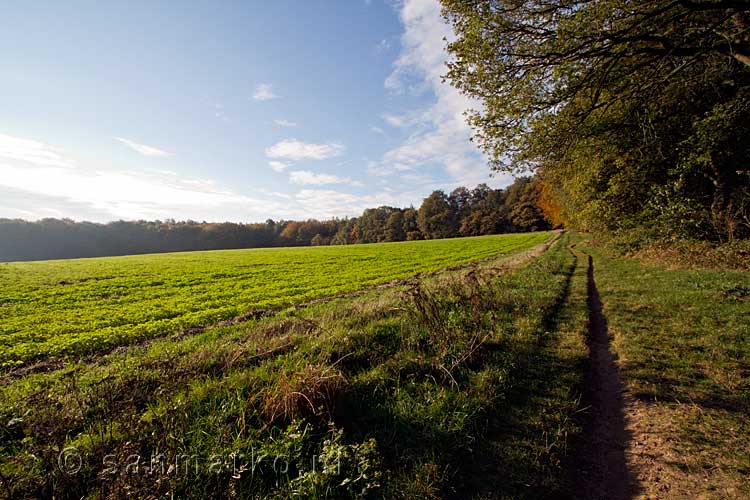 Aan het begin van de wandeling lopen we de herfstkleuren tegemoet