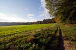 Aan het begin van de wandeling lopen we de herfstkleuren tegemoet