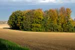 Het uitzicht bij de voet van de Hettenheuvel