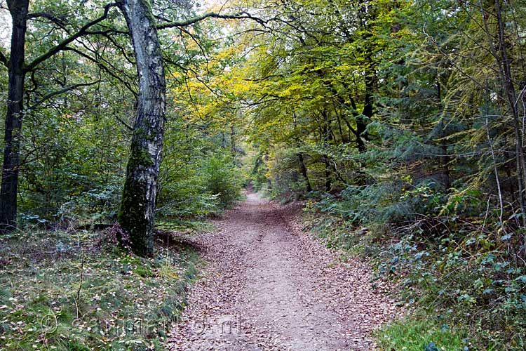 Eén van de wandelpaden van Kale Jacob naar de Galgenberg in het Montferland