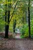 Een wandelpad omgeven door herfstkleuren bij de Galgenberg