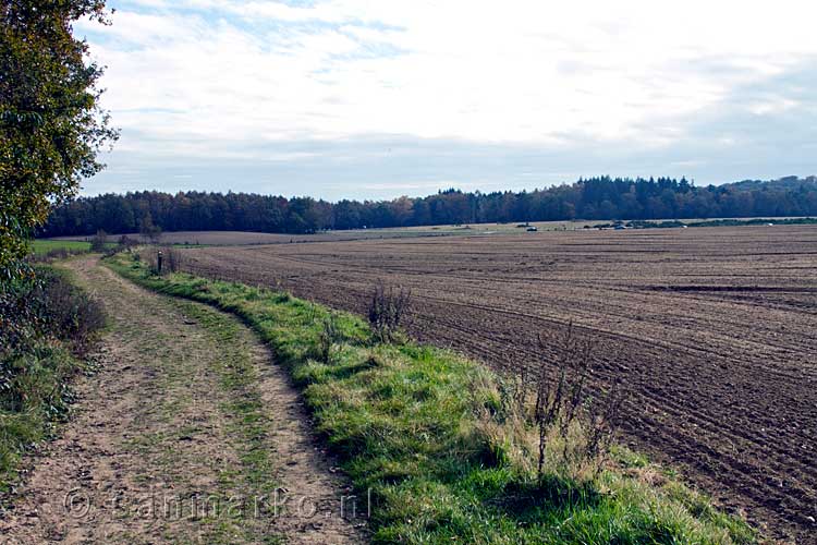 Het uitzicht over het open veld bij de bosrand bij de N 335