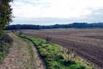 Het uitzicht over het open veld bij de bosrand bij de N 335