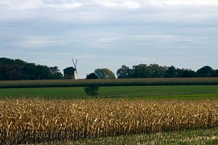 Een molen bij Zeddam tijdens onze wandeling van de Galgenberg terug naar de parkeerplaats