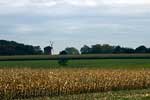 Een molen bij Zeddam tijdens onze wandeling van de Galgenberg terug naar de parkeerplaats