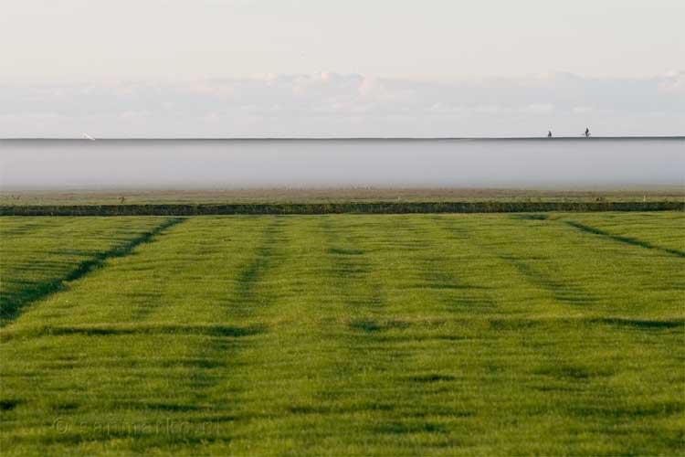 De dijk in de vroege ochtend op Terschelling