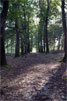 Wandelpad op de Sallandse Heuvelrug bij Hellendoorn