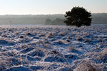 Het uitzicht in de winter op Loenenmark