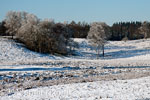 Het uitzicht tijdens de winter wandeling over Loenenmark bij Terlet