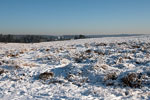 Het uitzicht vanaf Loenenmark in de winter