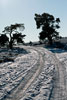 Het wandelpad over de Loenenmark bij Terlet in de winter