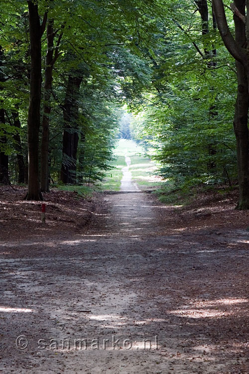 Het wandelpad naar Hoekelum tussen Bennekom en Ede