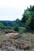 Uitzicht over het Mosselsche veld vlakbij de Ginkelse Heide