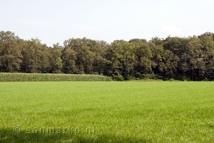 Een weiland in de buurt van Warnsborn vlakbij Schaarsbergen