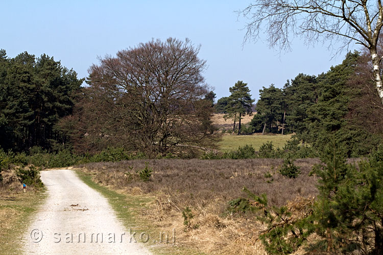 Het wandelpad aan het begin van de wandeling door Nationaal Park Veluwezoom