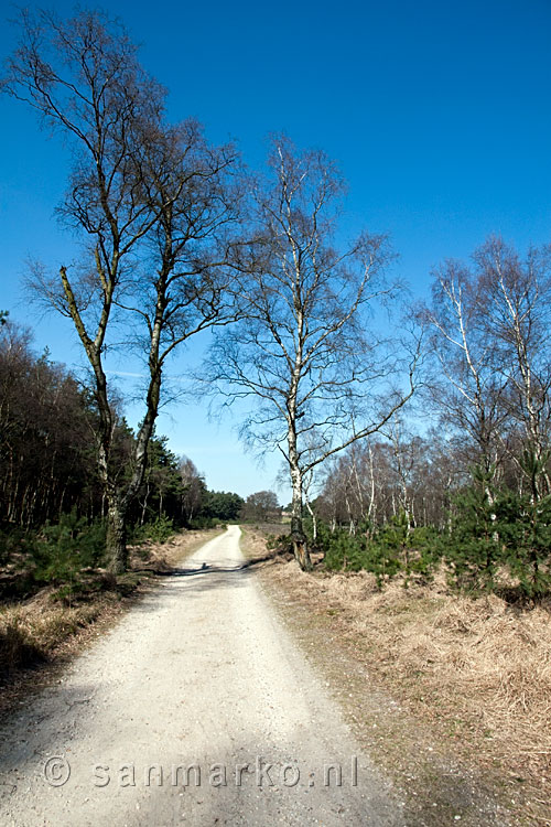 Op een zondagmiddag in de winter wandelen we richting het Rozendaalse Veld