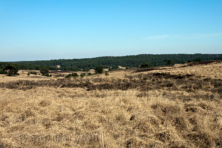 De uitgestrekte vlakte van Nationaal Park Veluwezoom bij de Posbank