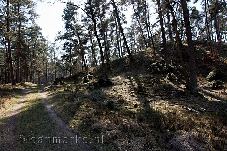 De omgeving tijdens de wandeling van Herikhuizerveld naar de Carolinahoeve