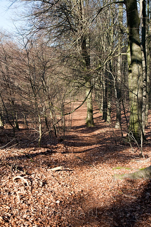 Een vergeten wandelpad tijdens de wandeling in Nationaal Park Veluwezoom