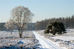 De Loenermark in de winter