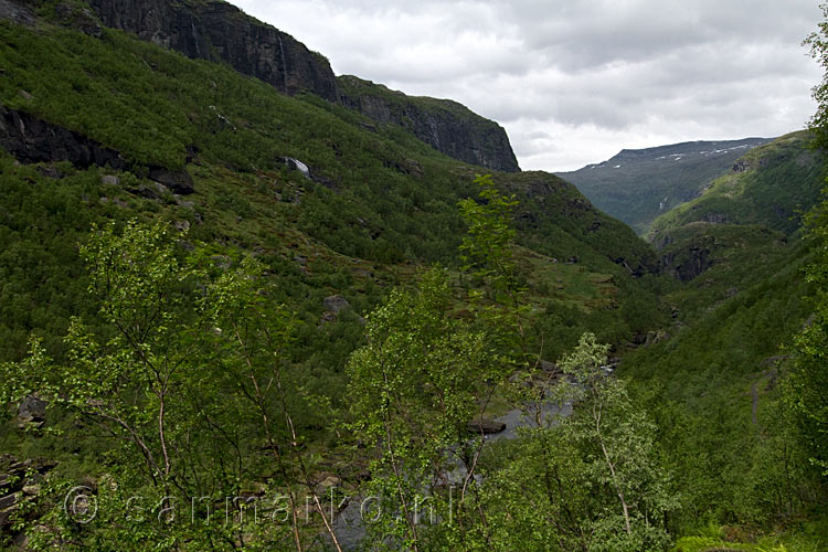 Uitzicht over een ontzettend groen Aurlandsdalen tijdens de wandeling in de lente