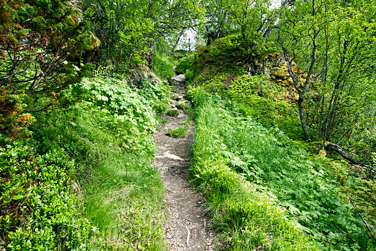 Het wandelpad door de schitterende natuur van de Aurlandsdalen in Noorwegen