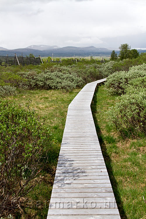 Het begin van het wandelpad door Fokstumyra Natural Reserve