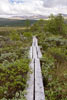 Het vlonderpad met uitzicht door de schitterende natuur van Fokstumyra