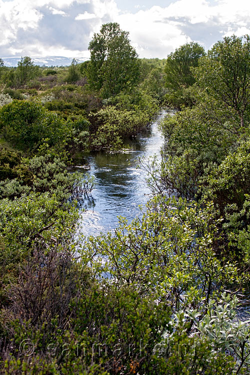 Wandelen langs deze schitterende natuur in Fokstumyra National Reserve