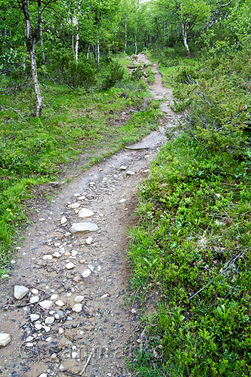 Het wandelpad richting de open vlakten van de Kongsvoll tussen Dombås en Oppdal