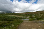 Uitzicht over de hoogvlakte Kongsvoll in Dovrefjell tussen Dombås en Oppdal