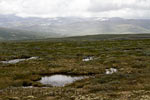 De hoogvlakte Kongsvoll in het natte seizoen in Dovrefjell