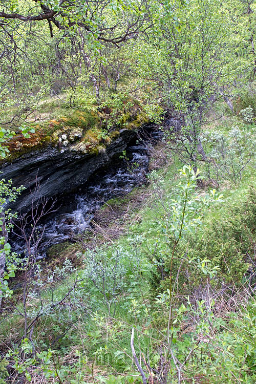 Een klein beekje stromend vanaf de Kongsvoll onder de rotsen langs het wandelpad