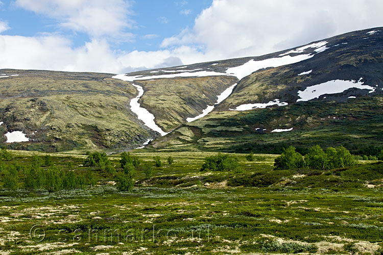 De natuur rondom het wandelpad naar de Mehø tussen Dombås en Oppdal