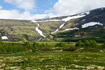 De natuur rondom het wandelpad naar de Mehø tussen Dombås en Oppdal