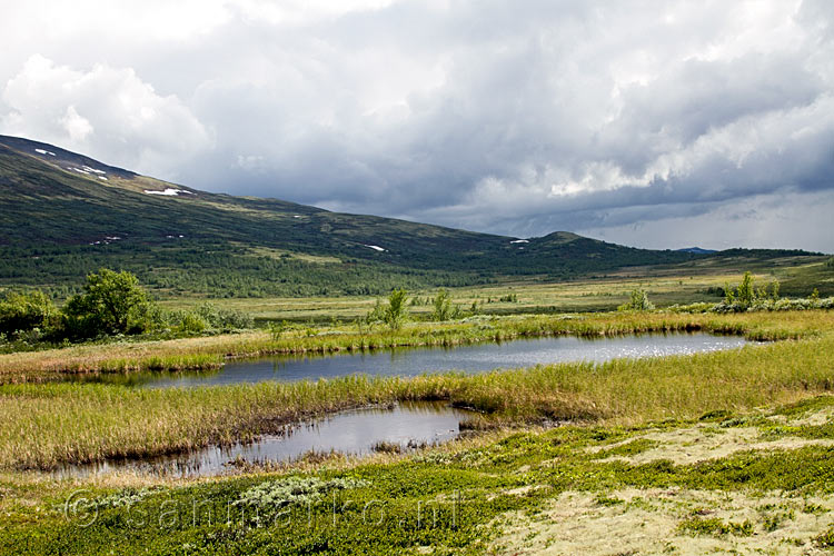 Kleine meren op de uitgestrekte vlakte tussen Dombås en Oppdal