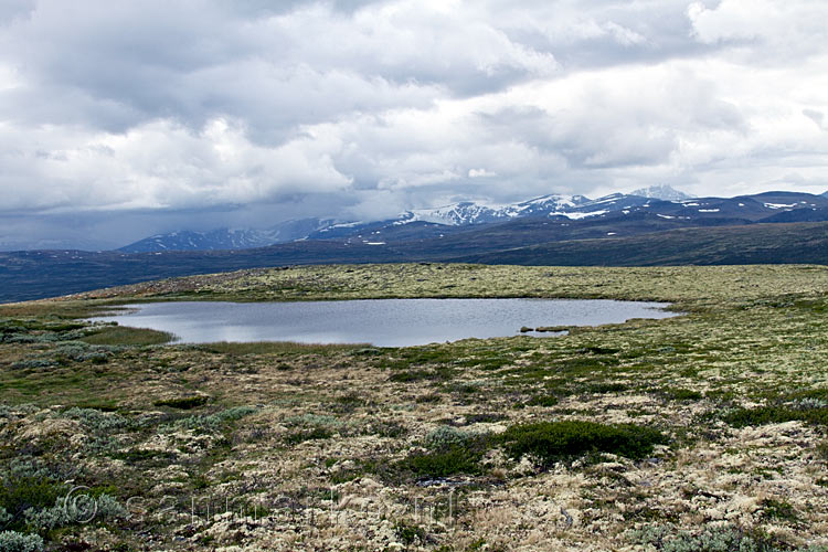 Uitzicht over Noorwegen vanaf de top van de Mehø tussen Dombås en Oppdal