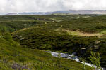 De schitterende natuur van Rondane Nasjonal Park bij Høvringen in Noorwegen
